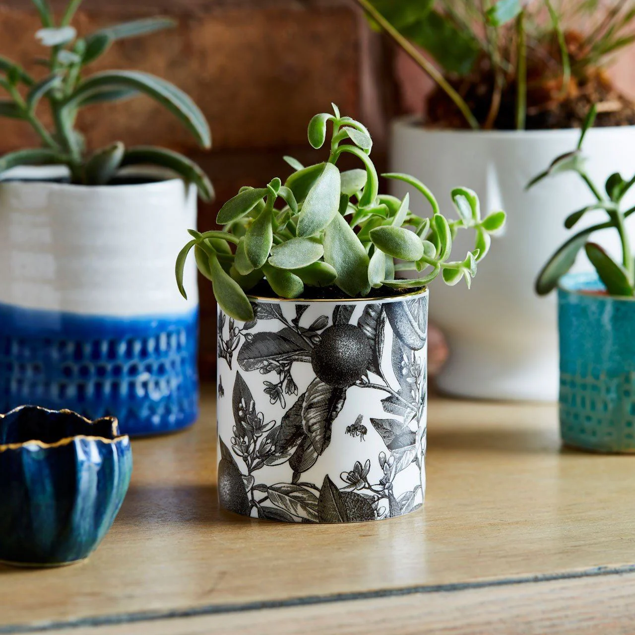The Orangery Ceramic Candle - Image 4